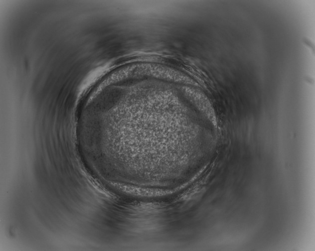 X0000091000149200708241458