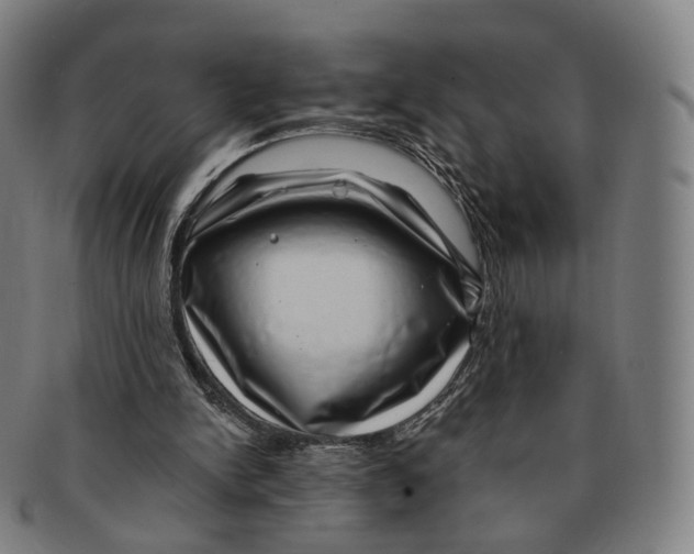 X0000091000150200708241458