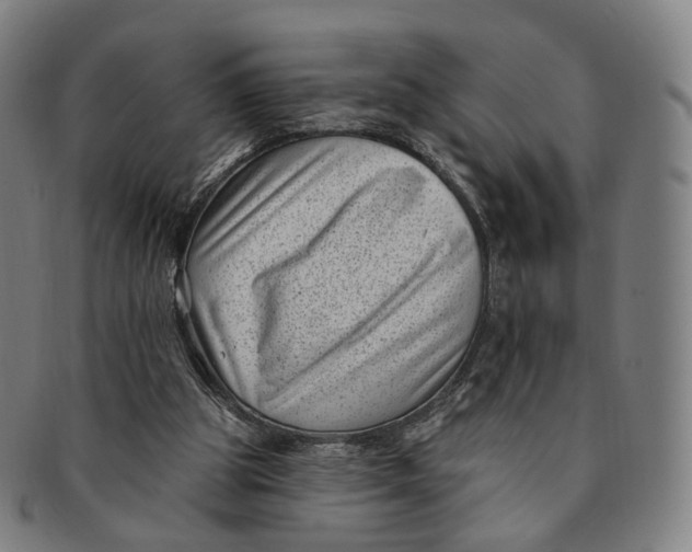 X0000091000153200708241458