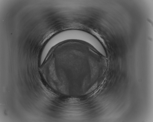 X0000091000154200708241458