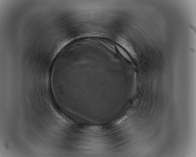 X0000091000156200708241458