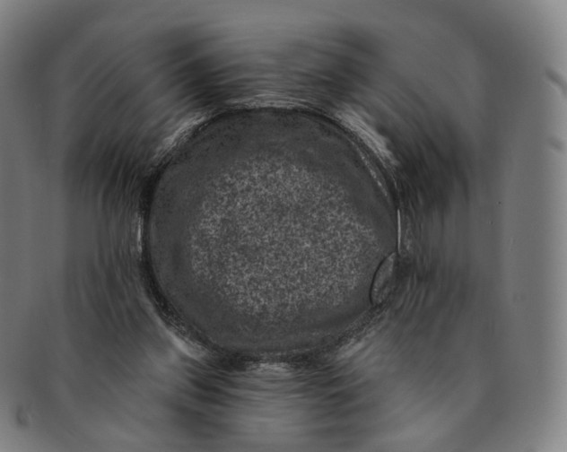 X0000091000157200708241458