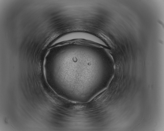 X0000091000158200708241458