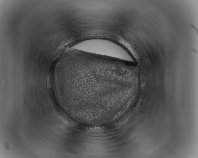 X0000091000161200708241458