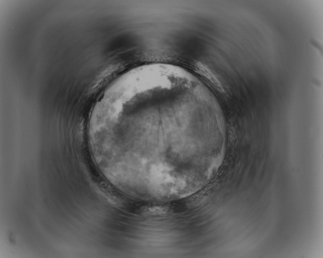 X0000091000163200708241458