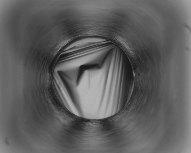 X0000091000164200708241458