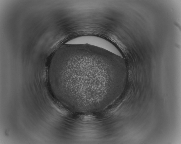 X0000091000165200708241458