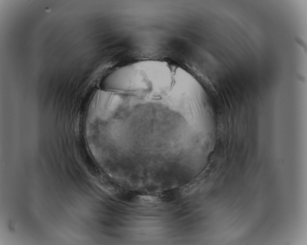 X0000091000167200708241458