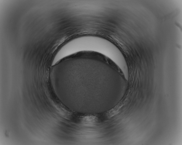 X0000091000168200708241458