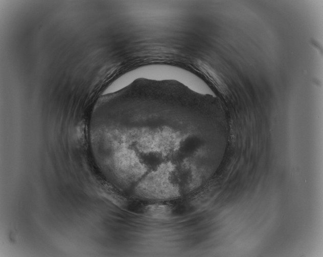 X0000091000169200708241458