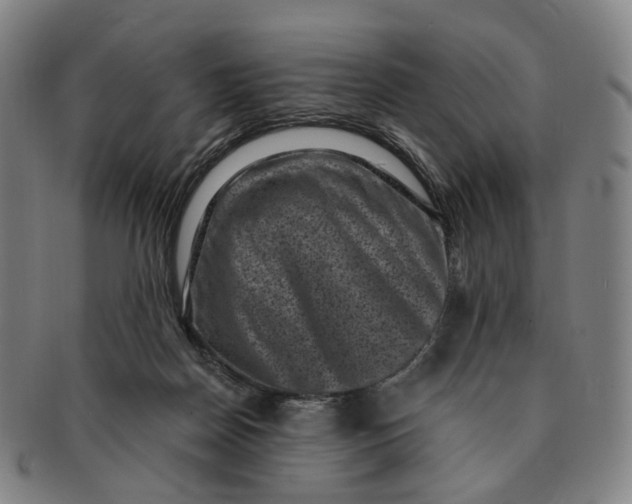 X0000091000170200708241458