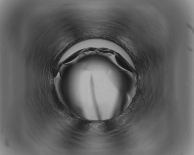 X0000091000172200708241458