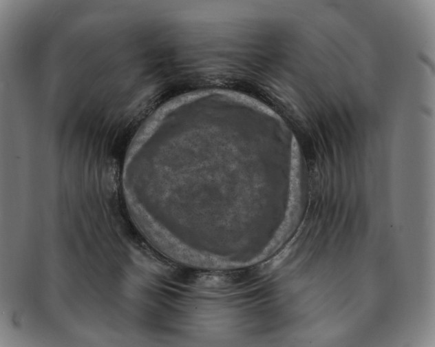 X0000091000174200708241458