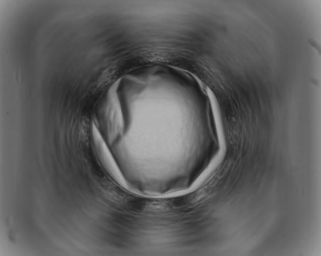 X0000091000175200708241458