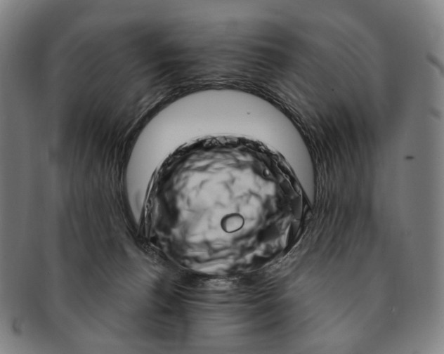 X0000091000176200708241458