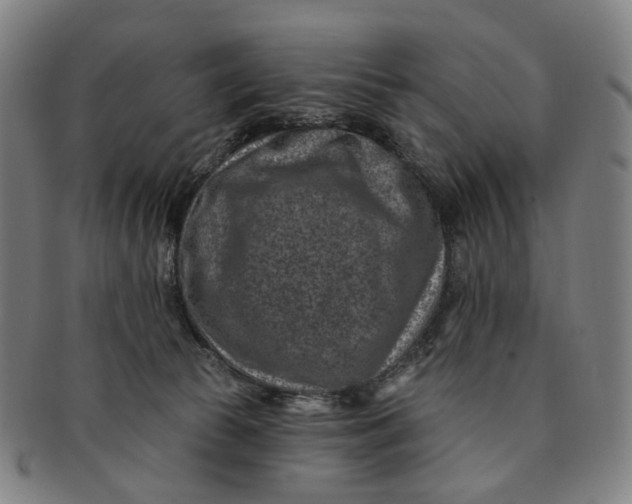 X0000091000177200708241458