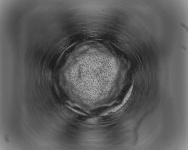 X0000091000178200708241458