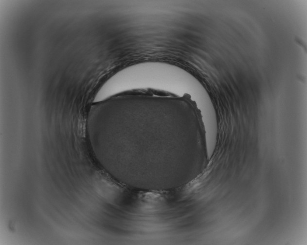 X0000091000180200708241458