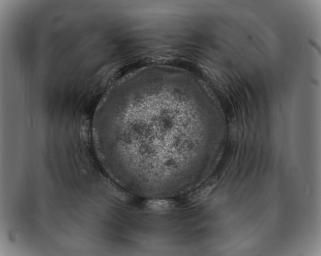 X0000091000181200708241458