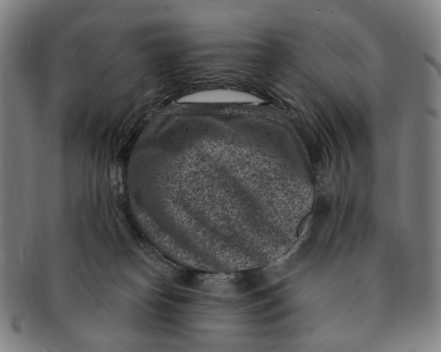 X0000091000182200708241458