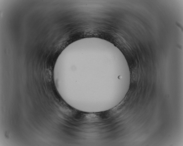 X0000091000183200708241458