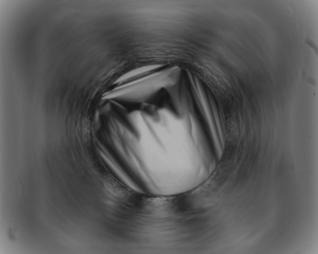 X0000091000184200708241458