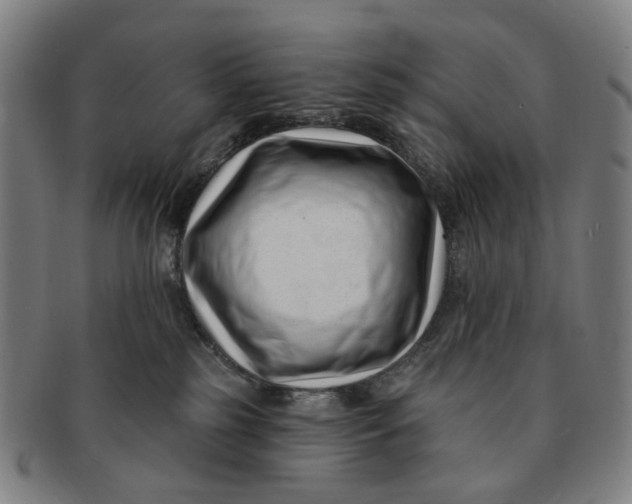 X0000091000185200708241458