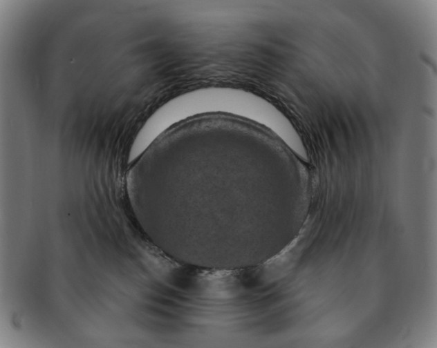 X0000091000186200708241458