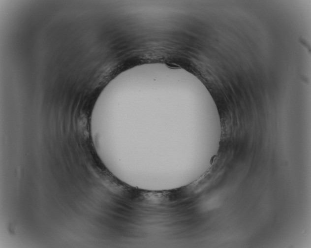 X0000091000187200708241458