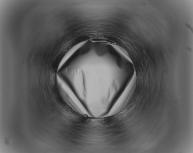 X0000091000188200708241458