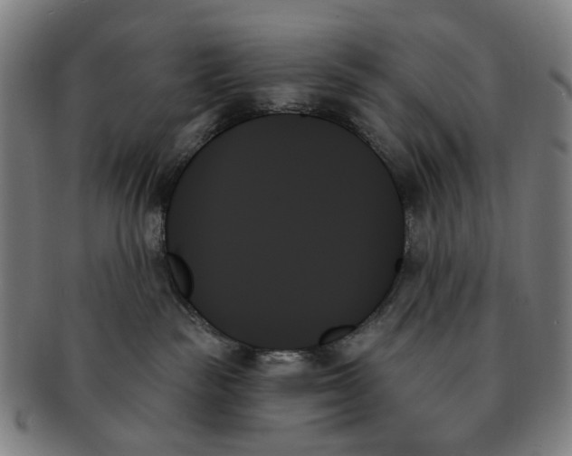 X0000091000189200708241458