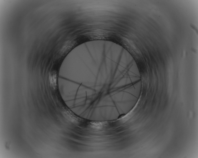 X0000091000190200708241458