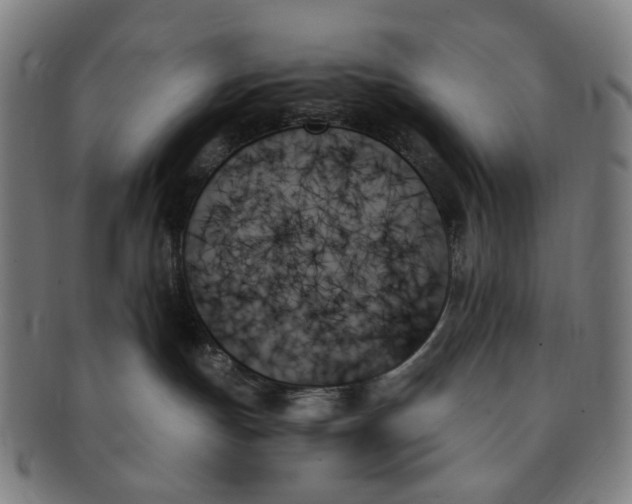 X0000091000191200708241458