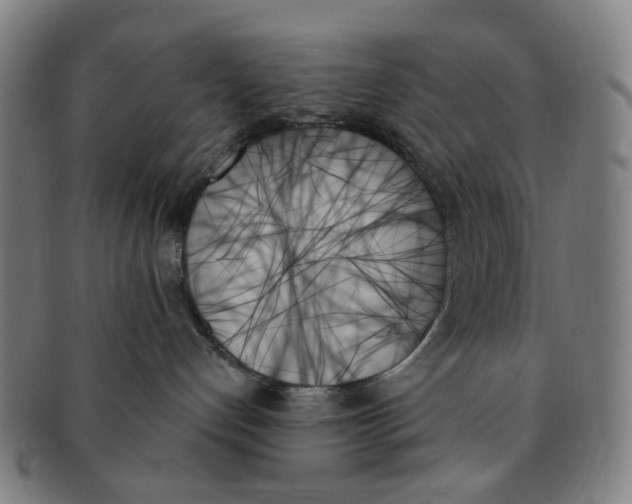 X0000091000192200708241458