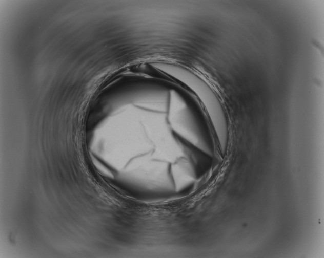 X0000091000193200708241458