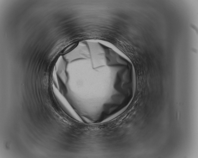 X0000091000194200708241458