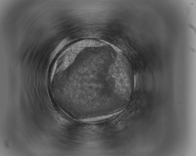 X0000091000195200708241458