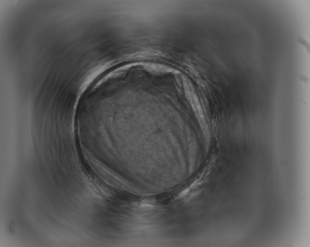 X0000091000196200708241458