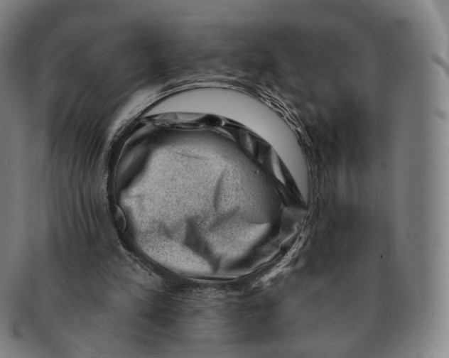 X0000091000197200708241458