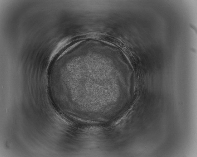 X0000091000198200708241458