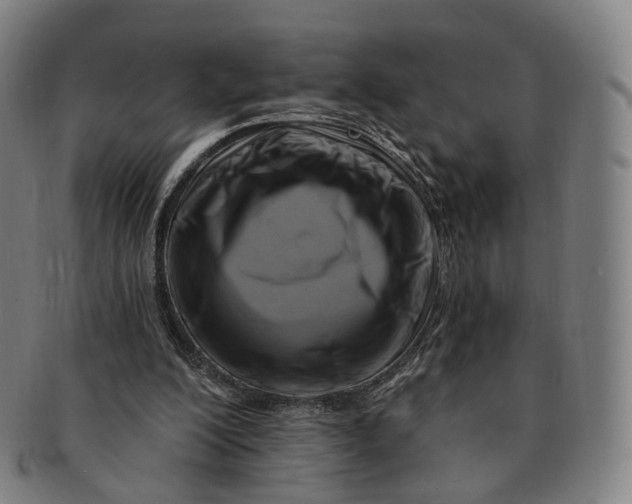 X0000091000200200708241457