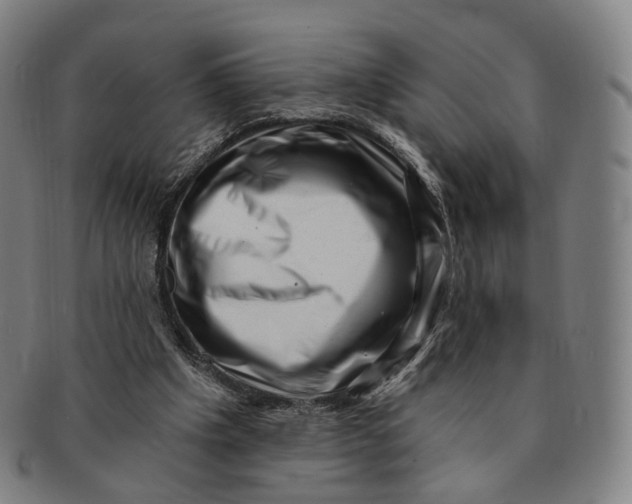 X0000091000201200708241457