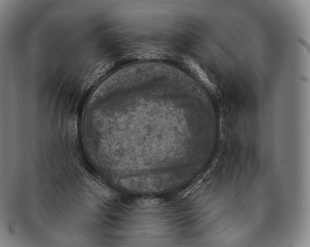 X0000091000202200708241457