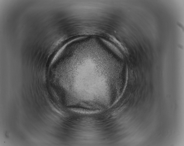 X0000091000203200708241457