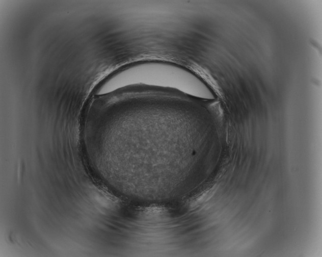 X0000091000204200708241457