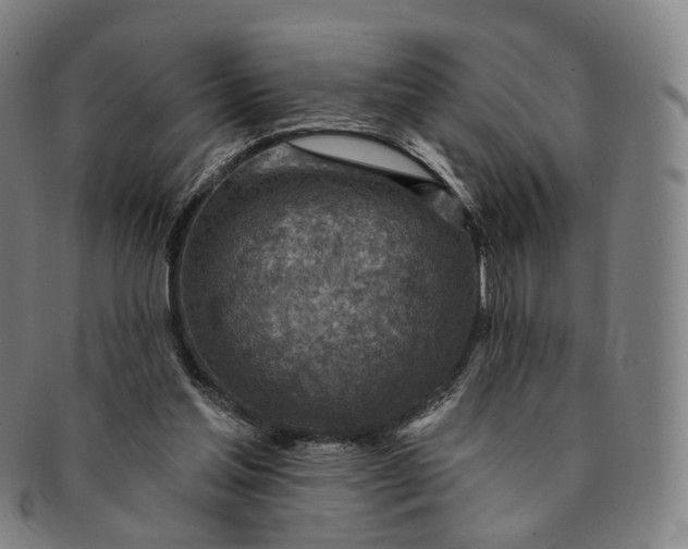 X0000091000205200708241457