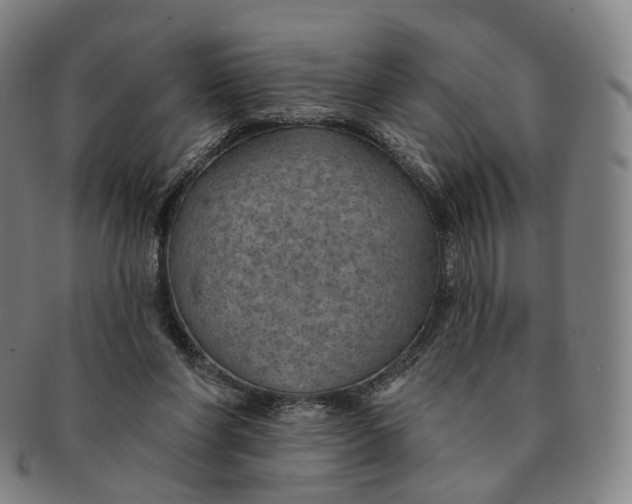 X0000091000206200708241457