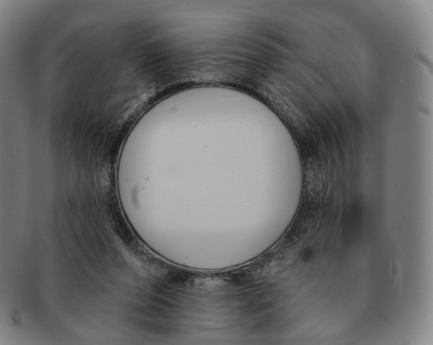 X0000091000208200708241457