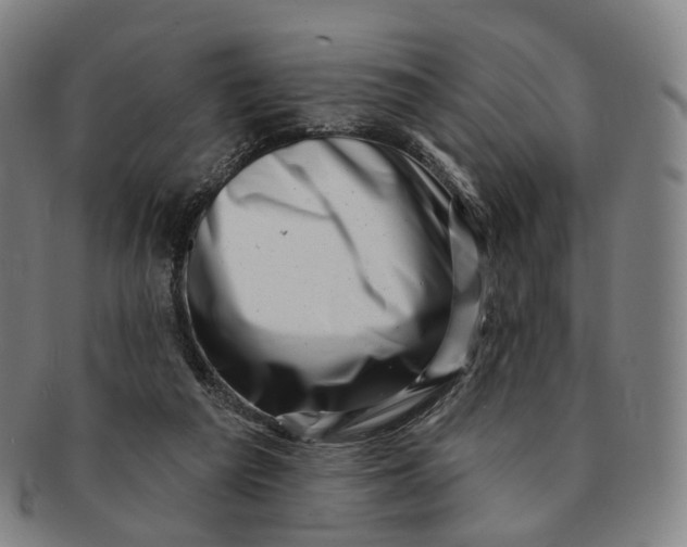 X0000091000209200708241457