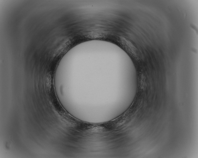 X0000091000210200708241457